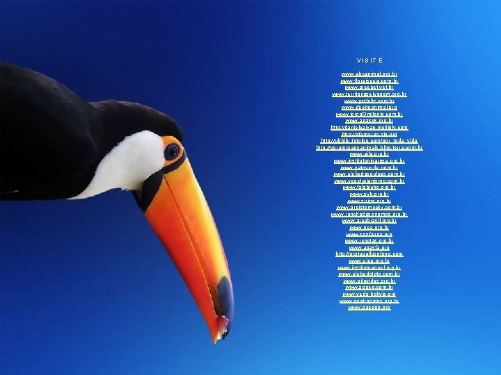 VISITE www. abcanimal. org. br www. floraisecia. com. br www. greepet. vet. br www.