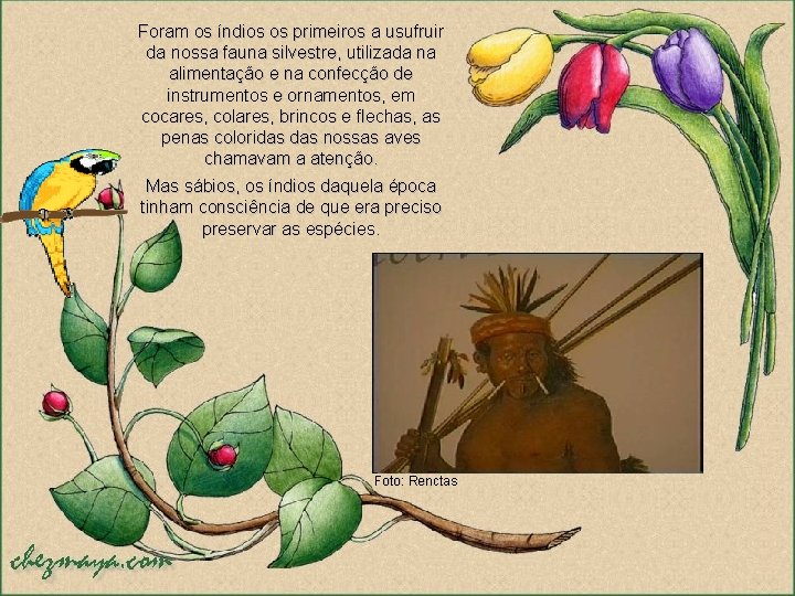 Foram os índios os primeiros a usufruir da nossa fauna silvestre, utilizada na alimentação