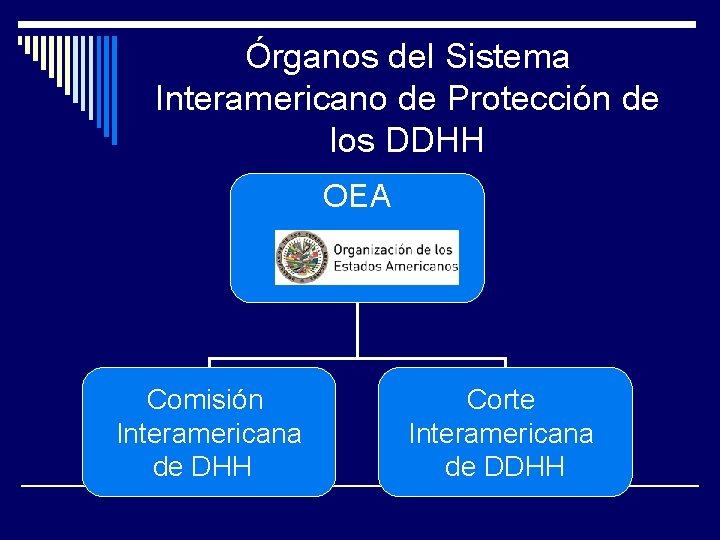 Órganos del Sistema Interamericano de Protección de los DDHH OEA Comisión Interamericana de DHH