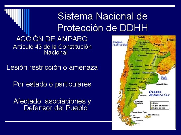 Sistema Nacional de Protección de DDHH ACCIÓN DE AMPARO Artículo 43 de la Constitución