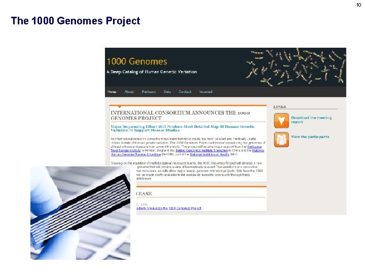 10 The 1000 Genomes Project 