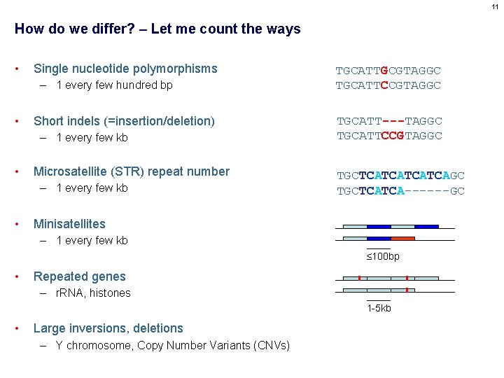 11 How do we differ? – Let me count the ways • Single nucleotide