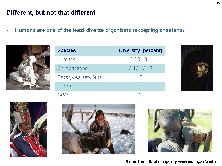 15 Different, but not that different • Humans are one of the least diverse