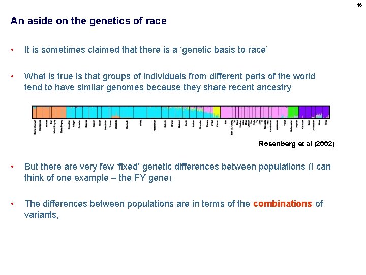 16 An aside on the genetics of race • It is sometimes claimed that