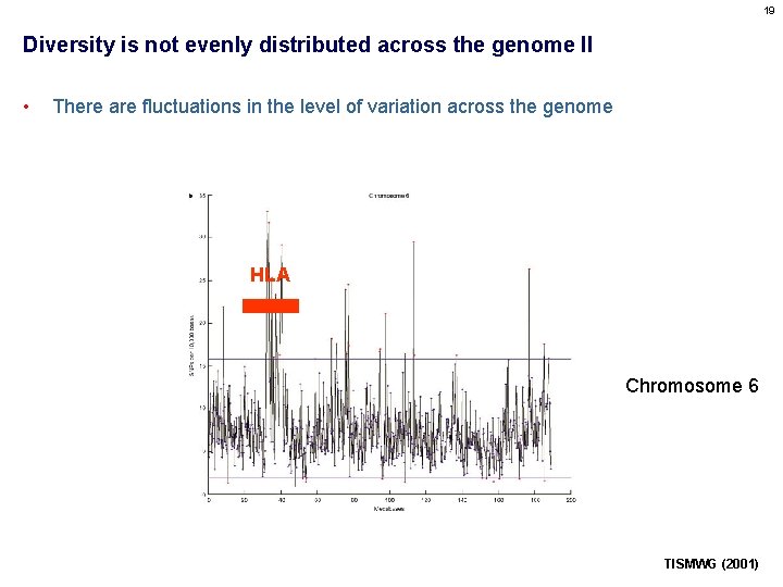 19 Diversity is not evenly distributed across the genome II • There are fluctuations