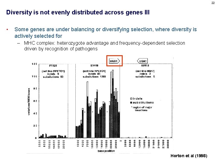 22 Diversity is not evenly distributed across genes III • Some genes are under