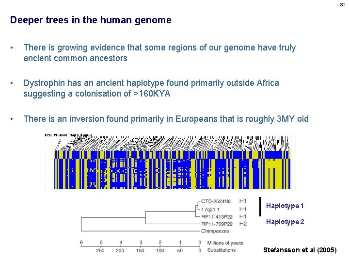 30 Deeper trees in the human genome • There is growing evidence that some