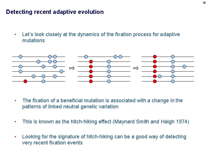 36 Detecting recent adaptive evolution • Let’s look closely at the dynamics of the