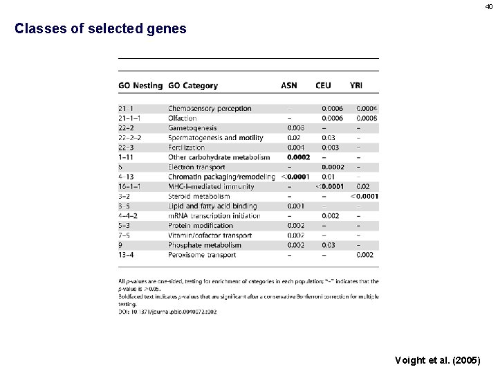 40 Classes of selected genes Voight et al. (2005) 