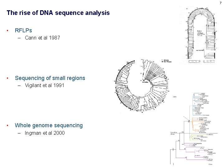 7 The rise of DNA sequence analysis • RFLPs – Cann et al 1987