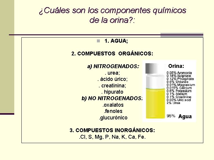 ¿Cuáles son los componentes químicos de la orina? : n 1. AGUA; 2. COMPUESTOS ¿Cuáles son los componentes químicos de la orina? : n 1. AGUA; 2. COMPUESTOS