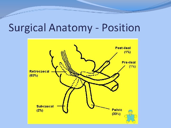 Surgical Anatomy - Position 