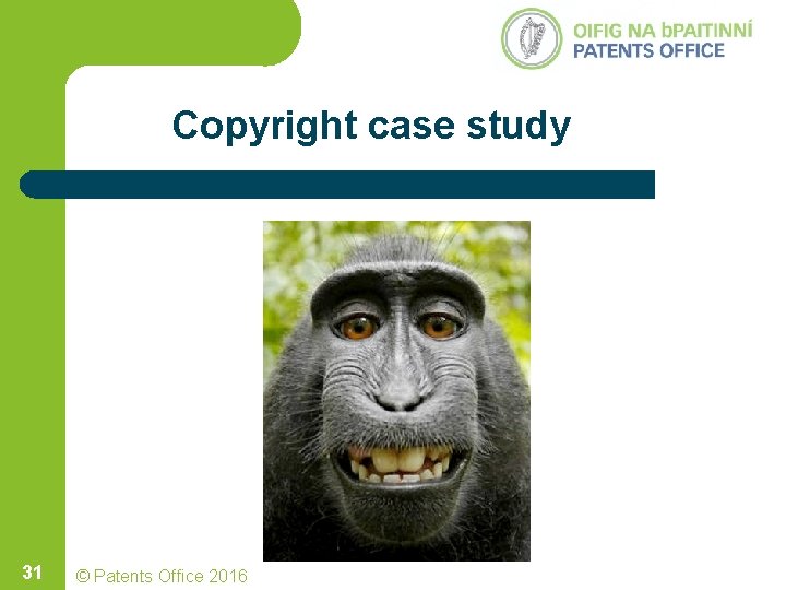Copyright case study 31 © Patents Office 2016 Copyright case study 31 © Patents Office 2016
