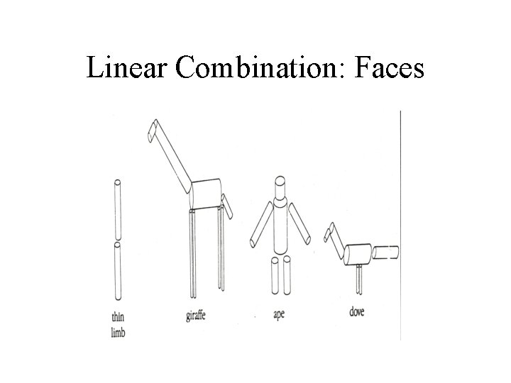 Linear Combination: Faces 