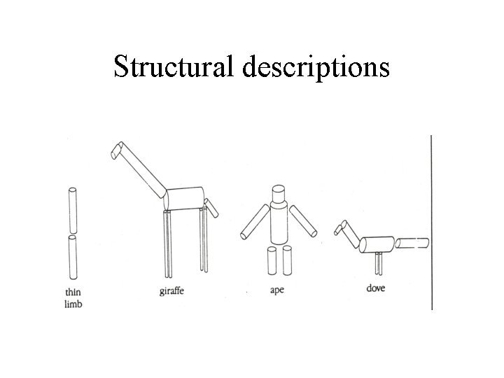 Structural descriptions 