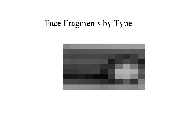 Face Fragments by Type 
