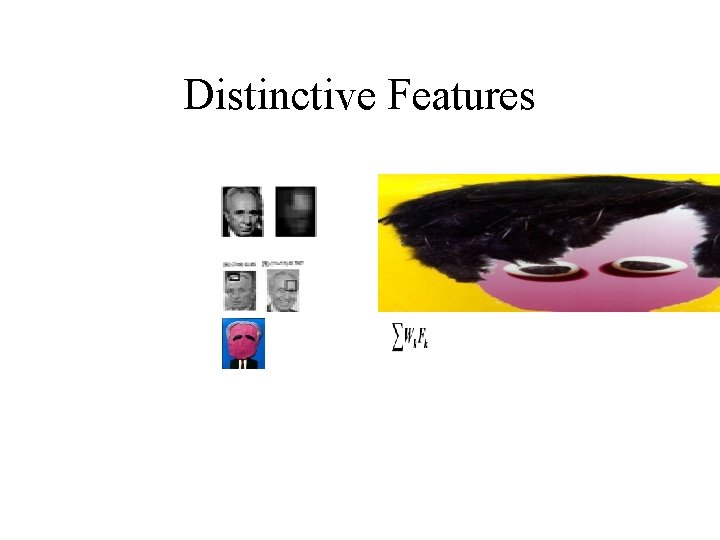 Distinctive Features 