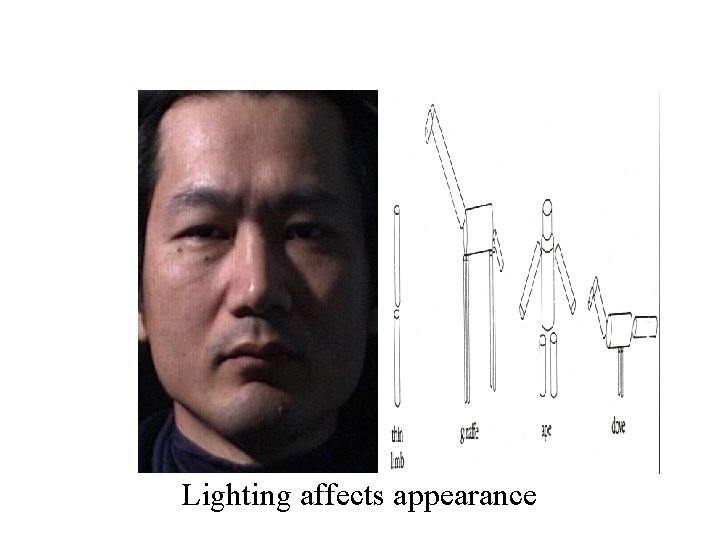 Lighting affects appearance 