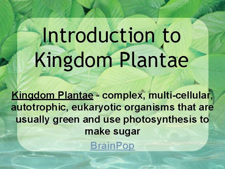 Introduction to Kingdom Plantae - complex, multi-cellular, autotrophic, eukaryotic organisms that are usually green