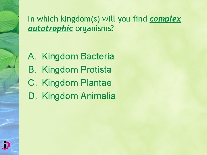 In which kingdom(s) will you find complex autotrophic organisms? A. B. C. D. Kingdom