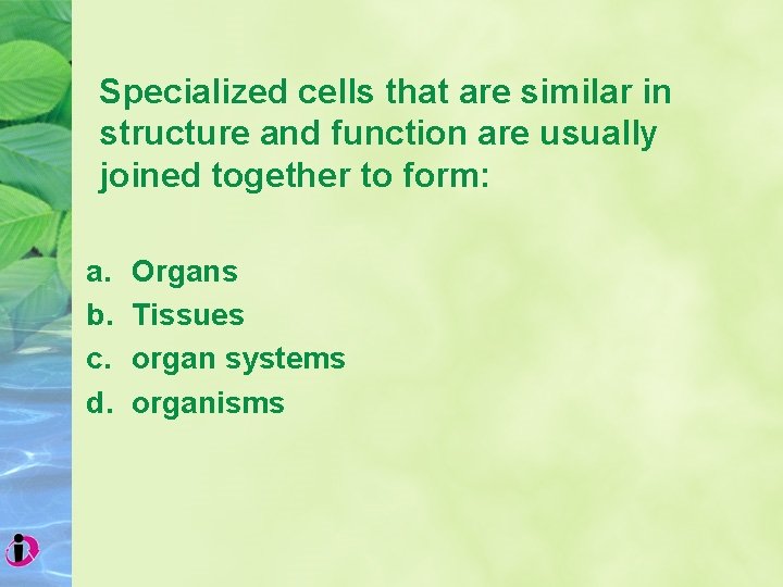 Specialized cells that are similar in structure and function are usually joined together to