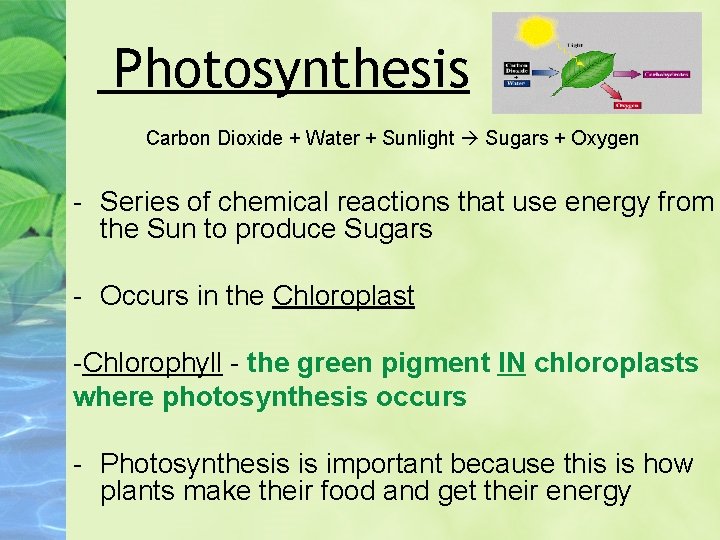 Photosynthesis Carbon Dioxide + Water + Sunlight Sugars + Oxygen - Series of chemical