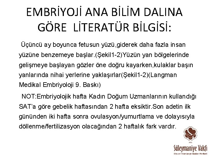 EMBRİYOJİ ANA BİLİM DALINA GÖRE LİTERATÜR BİLGİSİ: Üçüncü ay boyunca fetusun yüzü, giderek daha