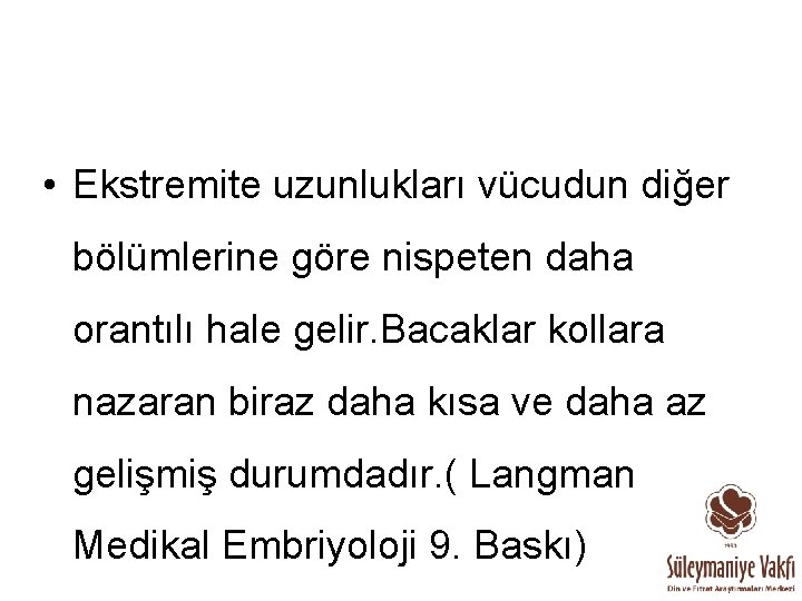  • Ekstremite uzunlukları vücudun diğer bölümlerine göre nispeten daha orantılı hale gelir. Bacaklar
