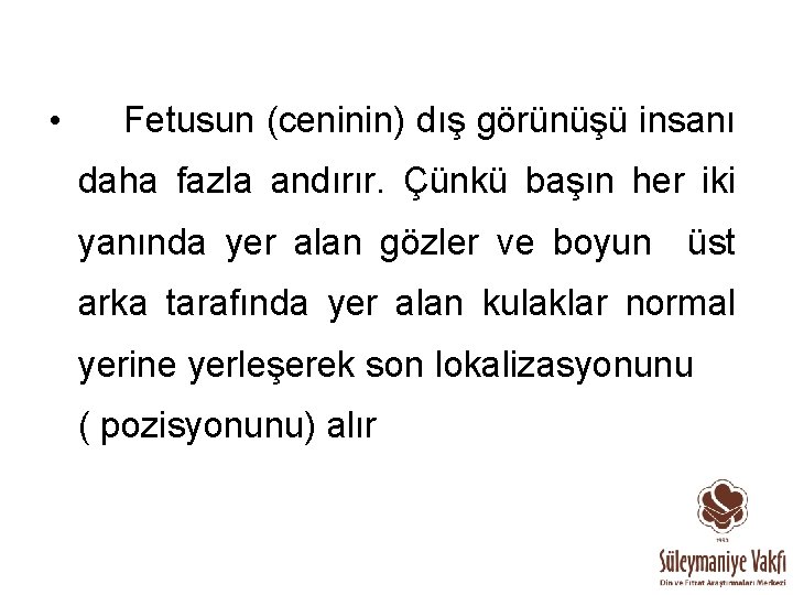  • Fetusun (ceninin) dış görünüşü insanı daha fazla andırır. Çünkü başın her iki