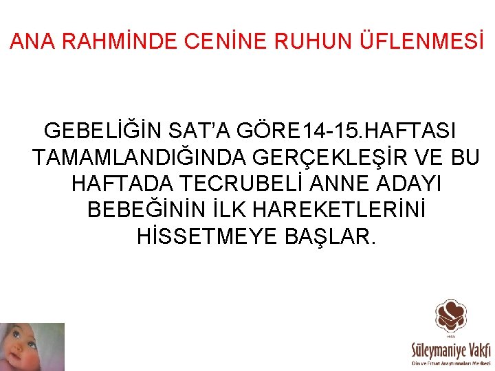 ANA RAHMİNDE CENİNE RUHUN ÜFLENMESİ GEBELİĞİN SAT’A GÖRE 14 -15. HAFTASI TAMAMLANDIĞINDA GERÇEKLEŞİR VE