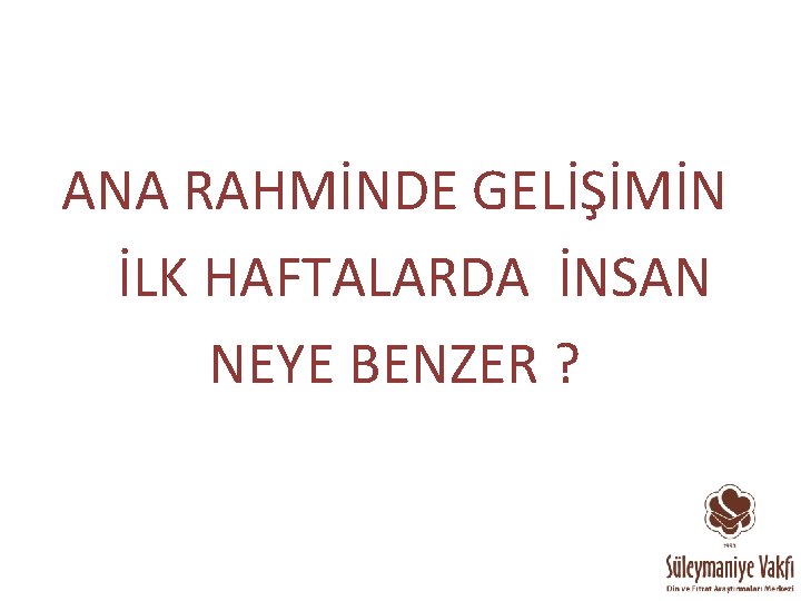 ANA RAHMİNDE GELİŞİMİN İLK HAFTALARDA İNSAN NEYE BENZER ? 