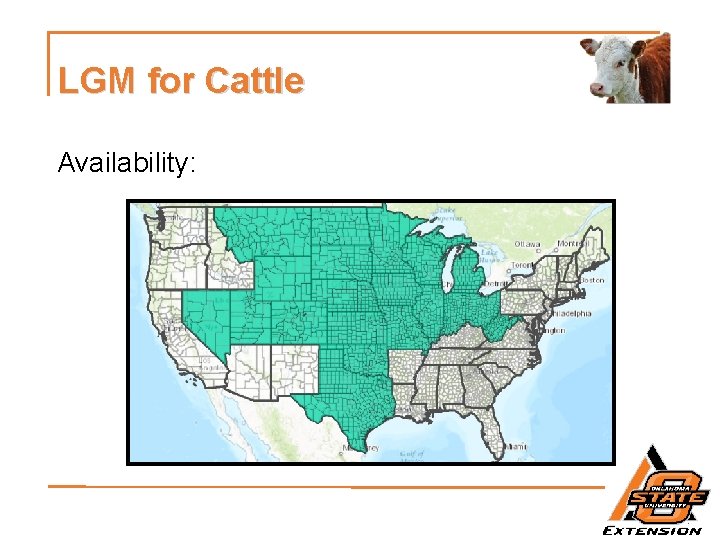 LGM for Cattle Availability: 