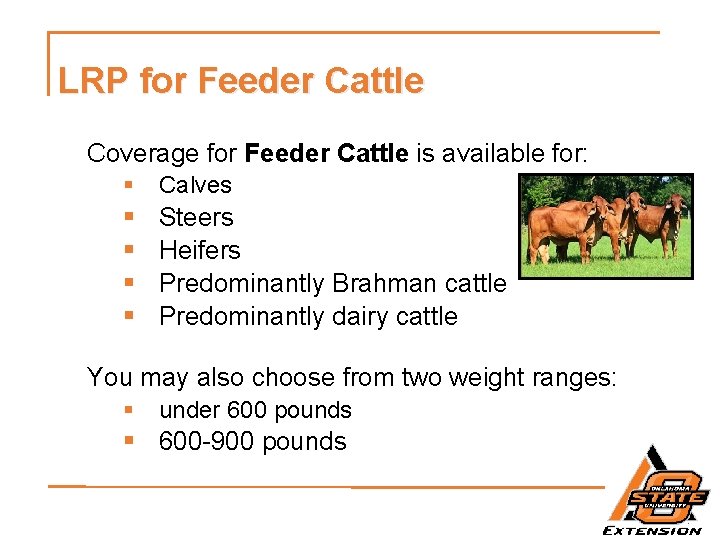 LRP for Feeder Cattle Coverage for Feeder Cattle is available for: § Calves §