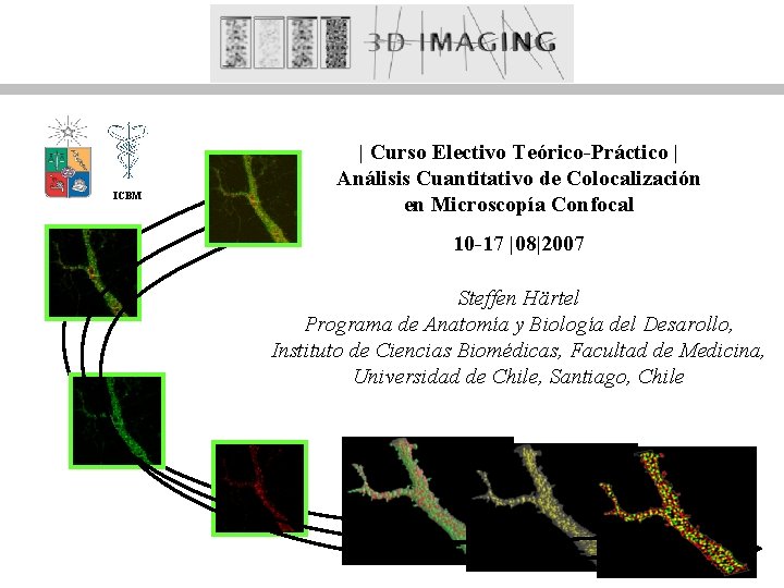 ICBM | Curso Electivo Teórico-Práctico | Análisis Cuantitativo de Colocalización en Microscopía Confocal 10