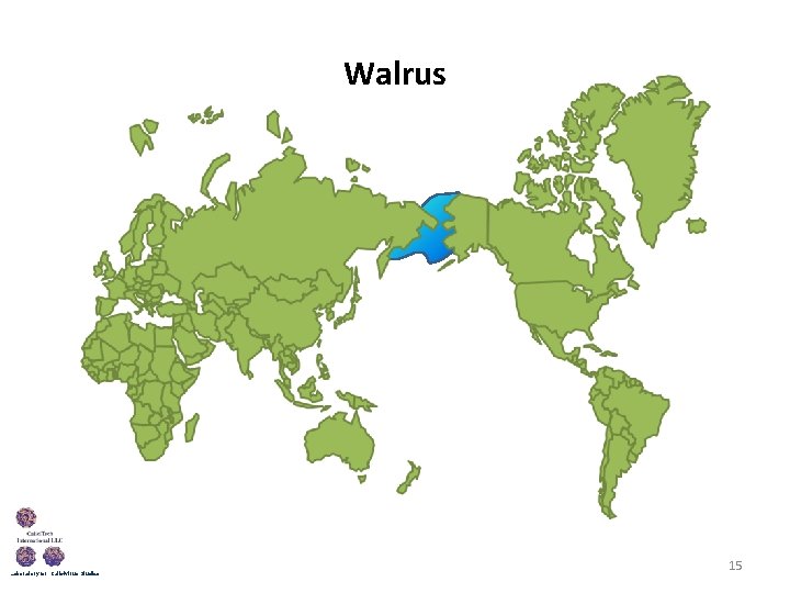 Walrus Laboratory for Calicivirus Studies 15 