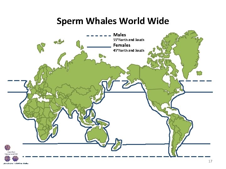 Sperm Whales World Wide Males 55°North and South Females 45°North and South Laboratory for