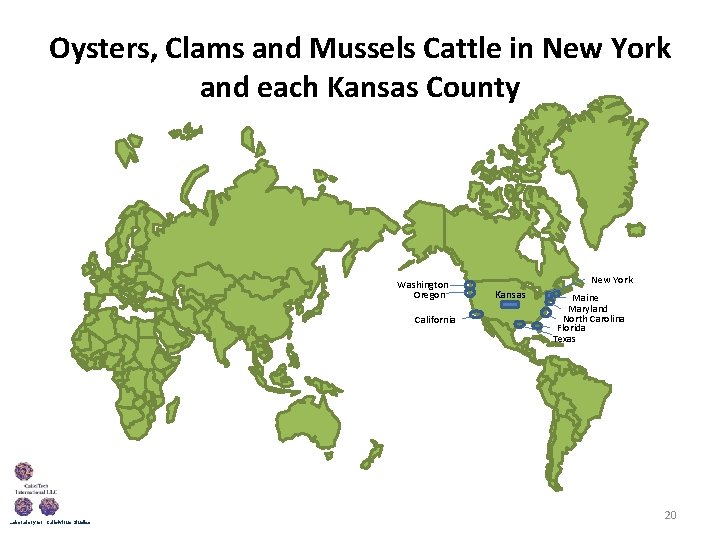 Oysters, Clams and Mussels Cattle in New York and each Kansas County 　　　　 Washington