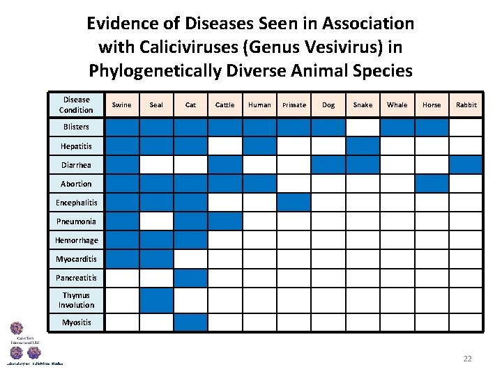 Evidence of Diseases Seen in Association with Caliciviruses (Genus Vesivirus) in Phylogenetically Diverse Animal