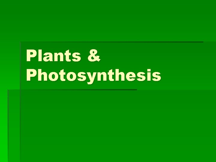 Plants & Photosynthesis 