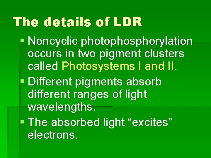 The details of LDR § Noncyclic photophosphorylation occurs in two pigment clusters called Photosystems