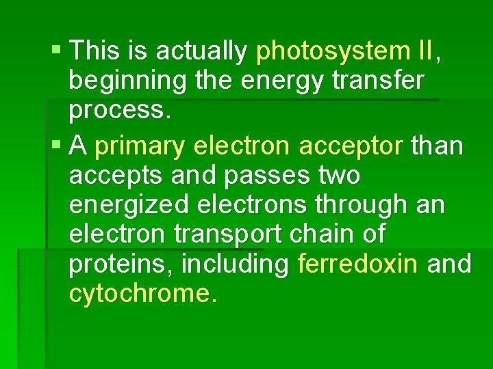 § This is actually photosystem II, beginning the energy transfer process. § A primary