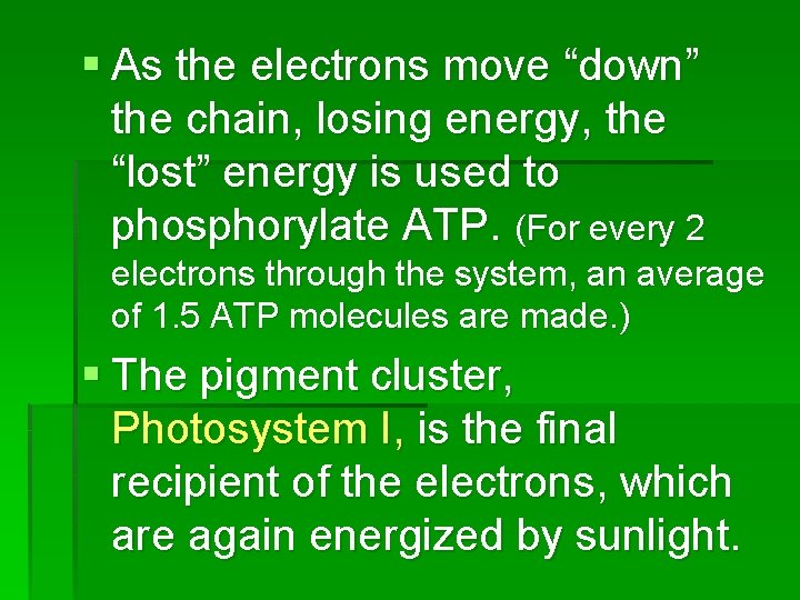 § As the electrons move “down” the chain, losing energy, the “lost” energy is