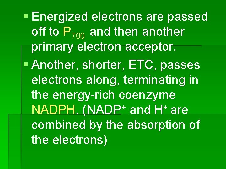 § Energized electrons are passed off to P 700 and then another primary electron