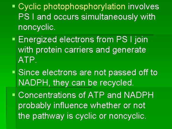 § Cyclic photophosphorylation involves PS I and occurs simultaneously with noncyclic. § Energized electrons