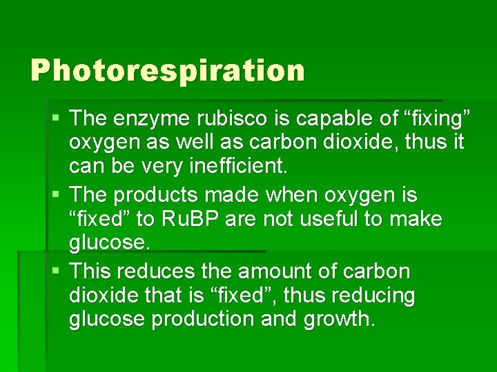 Photorespiration § The enzyme rubisco is capable of “fixing” oxygen as well as carbon