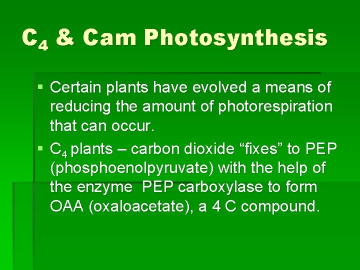 C 4 & Cam Photosynthesis § Certain plants have evolved a means of reducing