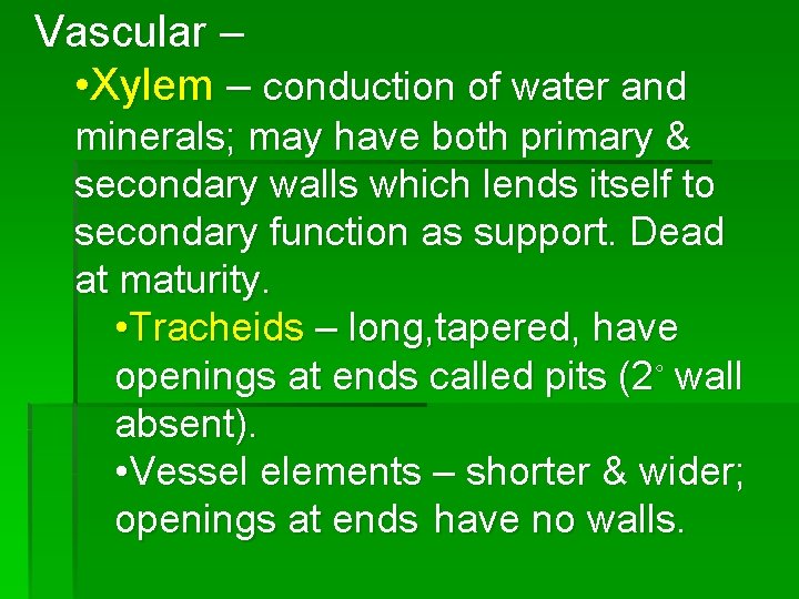 Vascular – • Xylem – conduction of water and minerals; may have both primary