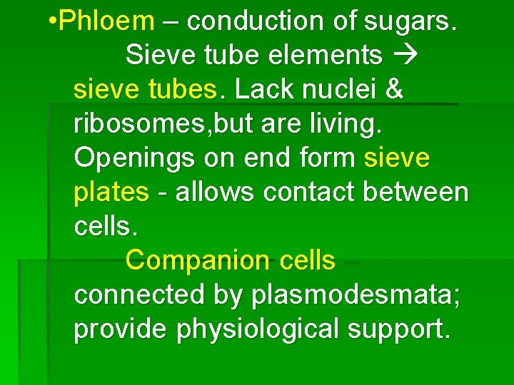  • Phloem – conduction of sugars. Sieve tube elements sieve tubes. Lack nuclei