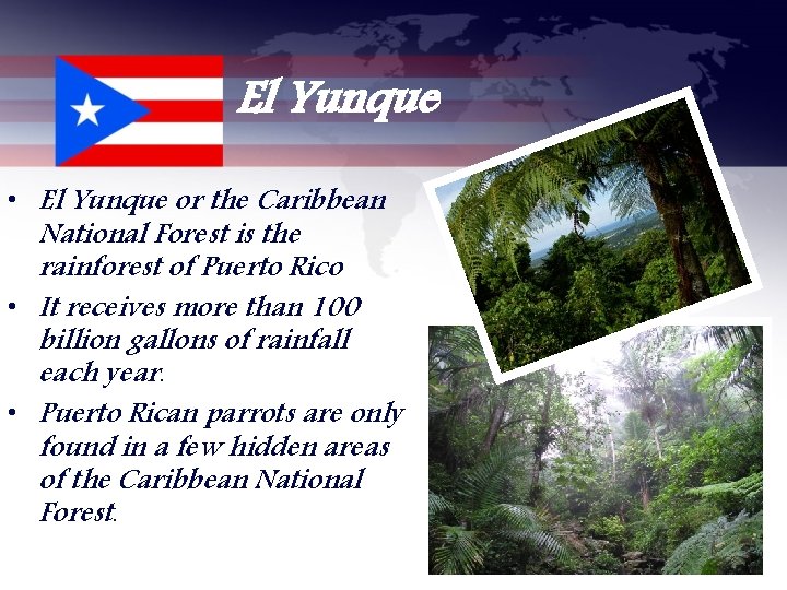 El Yunque • El Yunque or the Caribbean National Forest is the rainforest of