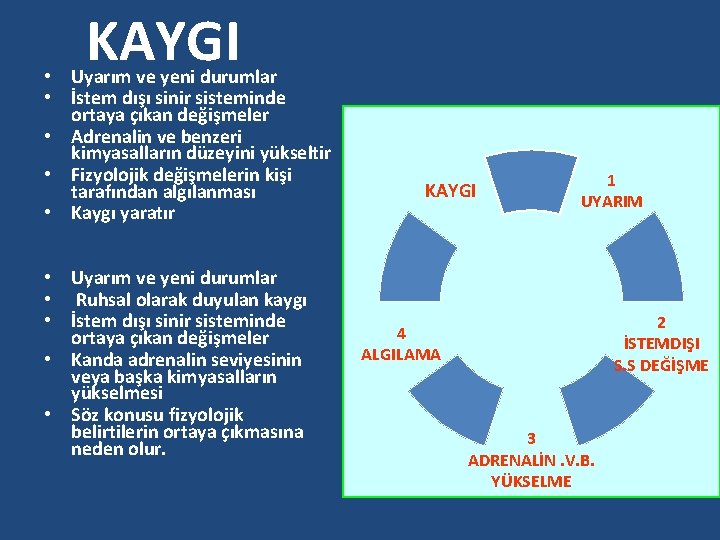 KAYGI • Uyarım ve yeni durumlar • İstem dışı sinir sisteminde ortaya çıkan değişmeler